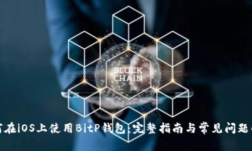如何在iOS上使用BitP钱包:完整指南与常见问题解答