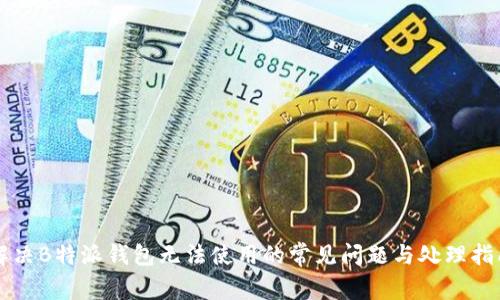解决B特派钱包无法使用的常见问题与处理指南