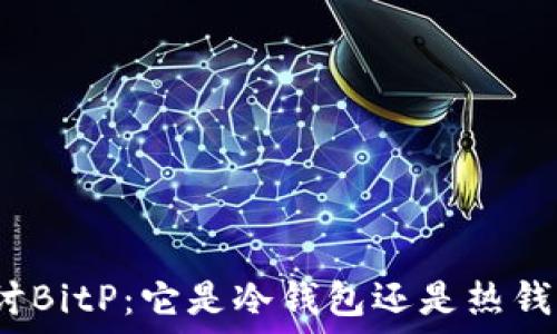 探讨BitP:它是冷钱包还是热钱包?