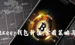 如何让BitKeep钱包升值：实用策略与前