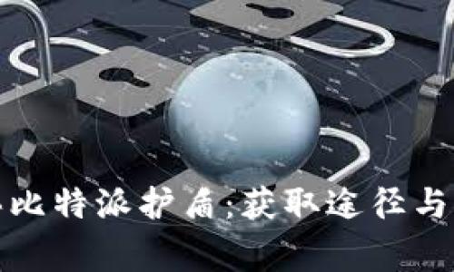 如何购买比特派护盾:获取途径与注意事项