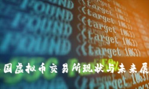 中国虚拟币交易所现状与未来展望