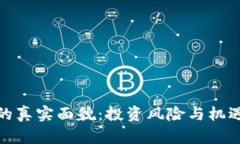 : 虚拟币的真实面貌：投资风险与机遇