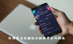 选择最佳区块链大数据平台的指南