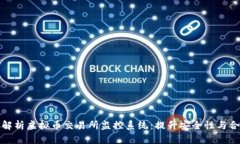全面解析虚拟币交易所监控系统：提升
