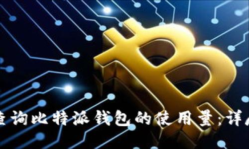 如何查询比特派钱包的使用量:详尽指南