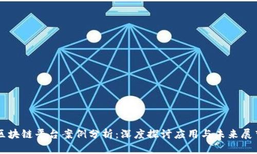 区块链平台案例分析:深度探讨应用与未来展望