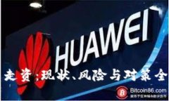 虚拟币走资：现状、风险与对策全面解