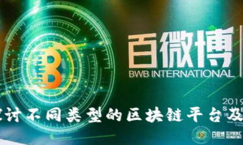 深入探讨不同类型的区块链平台及其应用