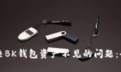 如何解决BK钱包资产不见的问题：全面