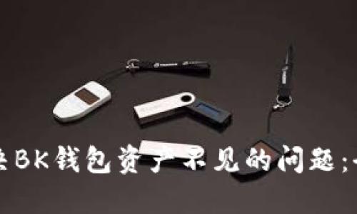如何解决BK钱包资产不见的问题:全面指南
