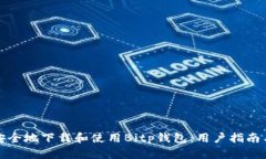 如何安全地下载和使用Bitp钱包：用户