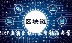  如何使用BitP查询余额: 完整指南与常