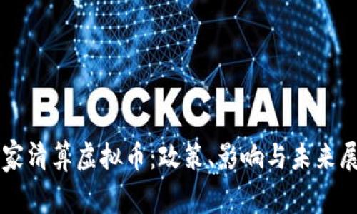 国家清算虚拟币:政策、影响与未来展望