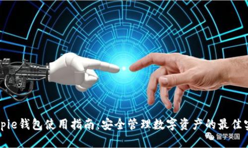 Bitpie钱包使用指南:安全管理数字资产的最佳实践