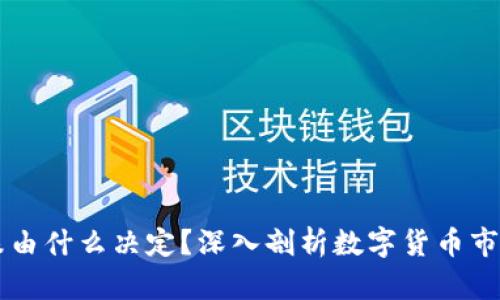 虚拟币的涨跌由什么决定?深入剖析数字货币市场的影响因素
