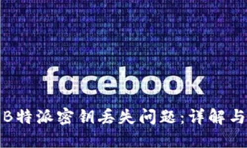 如何处理B特派密钥丢失问题:详解与解决方案