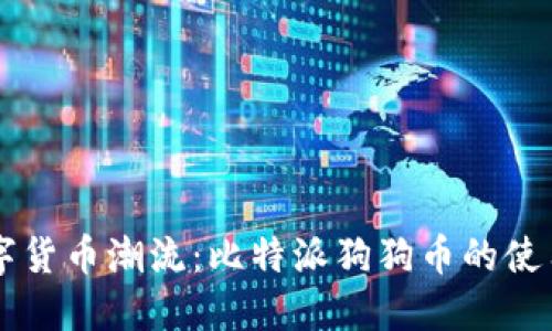 引领数字货币潮流：比特派狗狗币的使用与发展