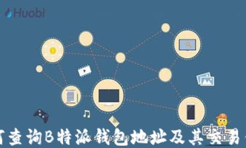 如何查询B特派钱包地址及其交易信息