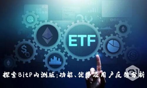探索BitP内测版:功能、优势及用户反馈分析