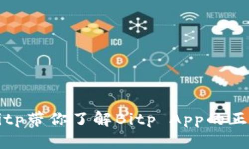 如何安全下载Bitp带你了解Bitp App的正版官网下载方法