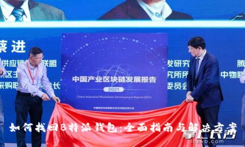 如何找回B特派钱包:全面指南与解决方案