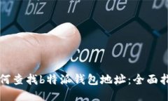 如何查找b特派钱包地址：全面指南
