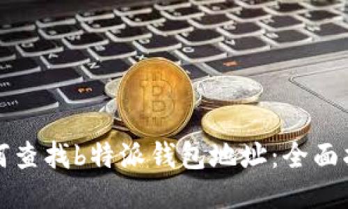 如何查找b特派钱包地址:全面指南