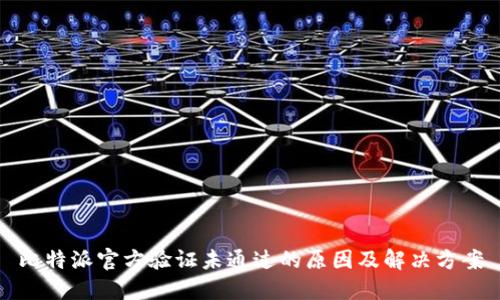 比特派官方验证未通过的原因及解决方案