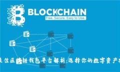 : 全球最佳区块链钱包平台解析：选择