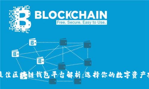 : 全球最佳区块链钱包平台解析:选择你的数字资产安全之盾