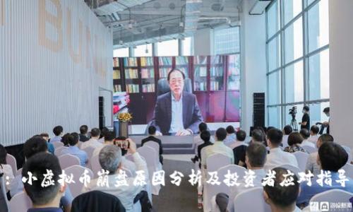 : 小虚拟币崩盘原因分析及投资者应对指导
