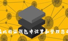  如何在比特派钱包中设置和管理您的