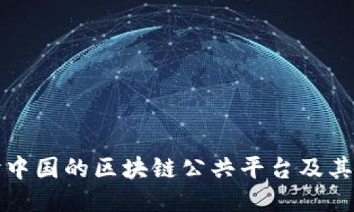 深入探讨中国的区块链公共平台及其未来趋势