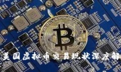 : 美国虚拟币交易现状深度解析
