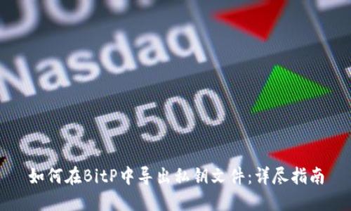 如何在BitP中导出私钥文件:详尽指南