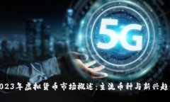 2023年虚拟货币市场概述：主流币种与