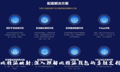 比特派映射：深入理解比特派钱包的多