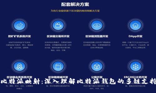 比特派映射:深入理解比特派钱包的多链支持