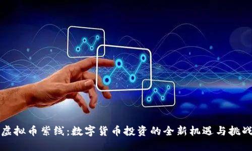 虚拟币紫线:数字货币投资的全新机遇与挑战