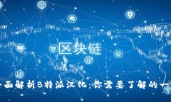 全面解析B特派汉化：你需要了解的一