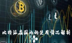 比特派在国内的使用情况解析
