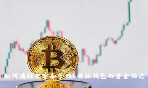 如何有效观察和管理b特派钱包的资金动态