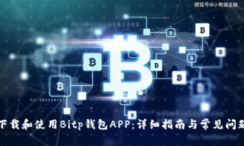 如何下载和使用Bitp钱包APP:详细指南与常见问题解答