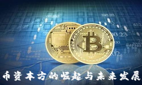  
虚拟币资本方的崛起与未来发展趋势