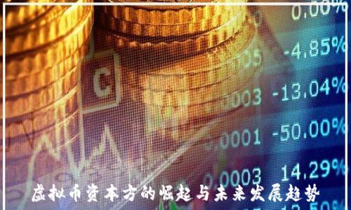  
虚拟币资本方的崛起与未来发展趋势