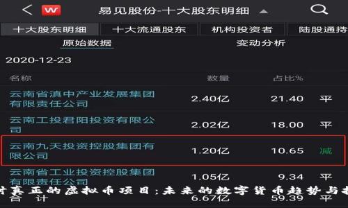 深入探讨真正的虚拟币项目:未来的数字货币趋势与投资机会