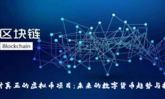 深入探讨真正的虚拟币项目：未来的数