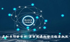 虚拟币形势分析：未来发展趋势与投资