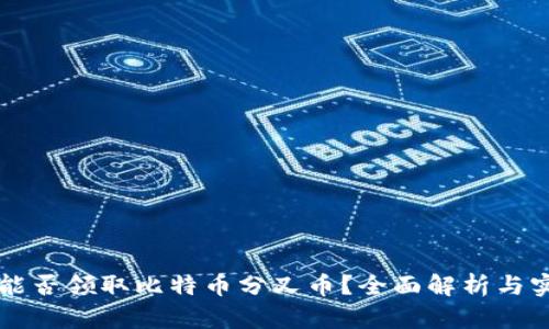 比特派能否领取比特币分叉币?全面解析与实用指南